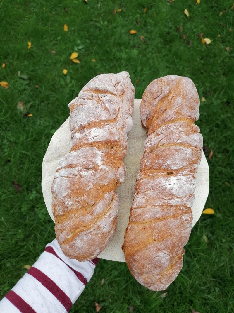 Wurzelbrot